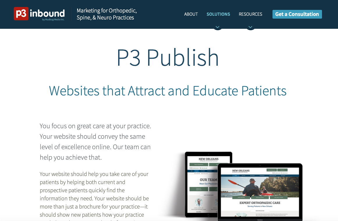 P3 Publish CMS